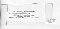 Image Associated With the Occurence